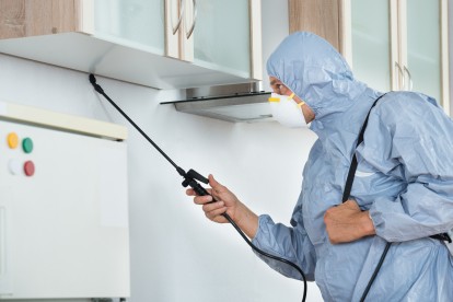Home Pest Control, Pest Control in Streatham Hill, SW2. Call Now 020 8166 9746