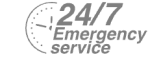 24/7 Emergency Service Pest Control in Streatham Hill, SW2. Call Now! 020 8166 9746